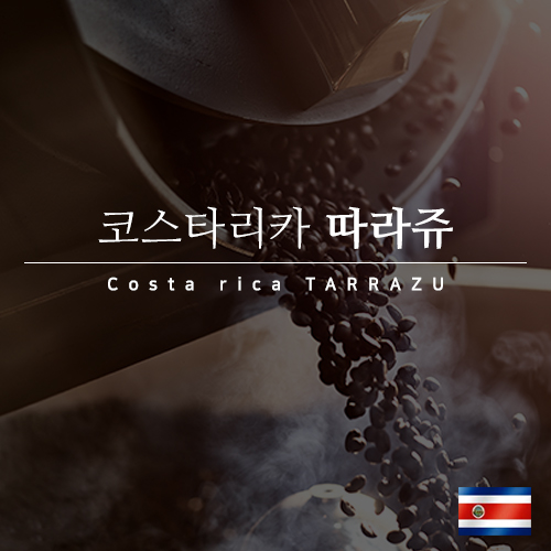 코스타리카 따라쥬